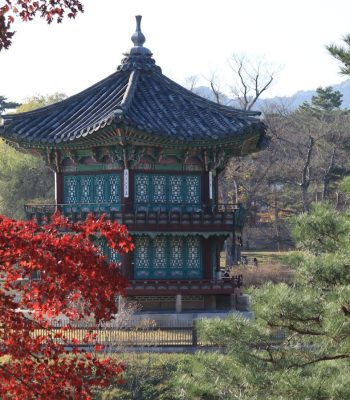 a tall tower sitting in the middle of a forest